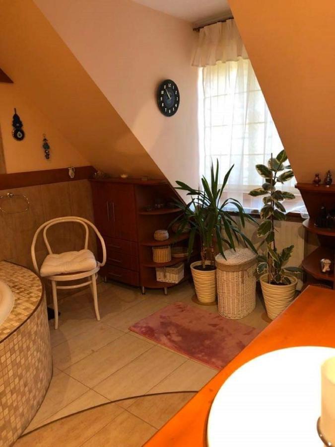 Bed and Breakfast Willa Nad Popradem Piwniczna-Zdroj Екстер'єр фото
